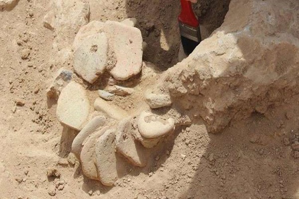 قطر.. اكتشاف موقع أثري يعود لصدر الإسلام