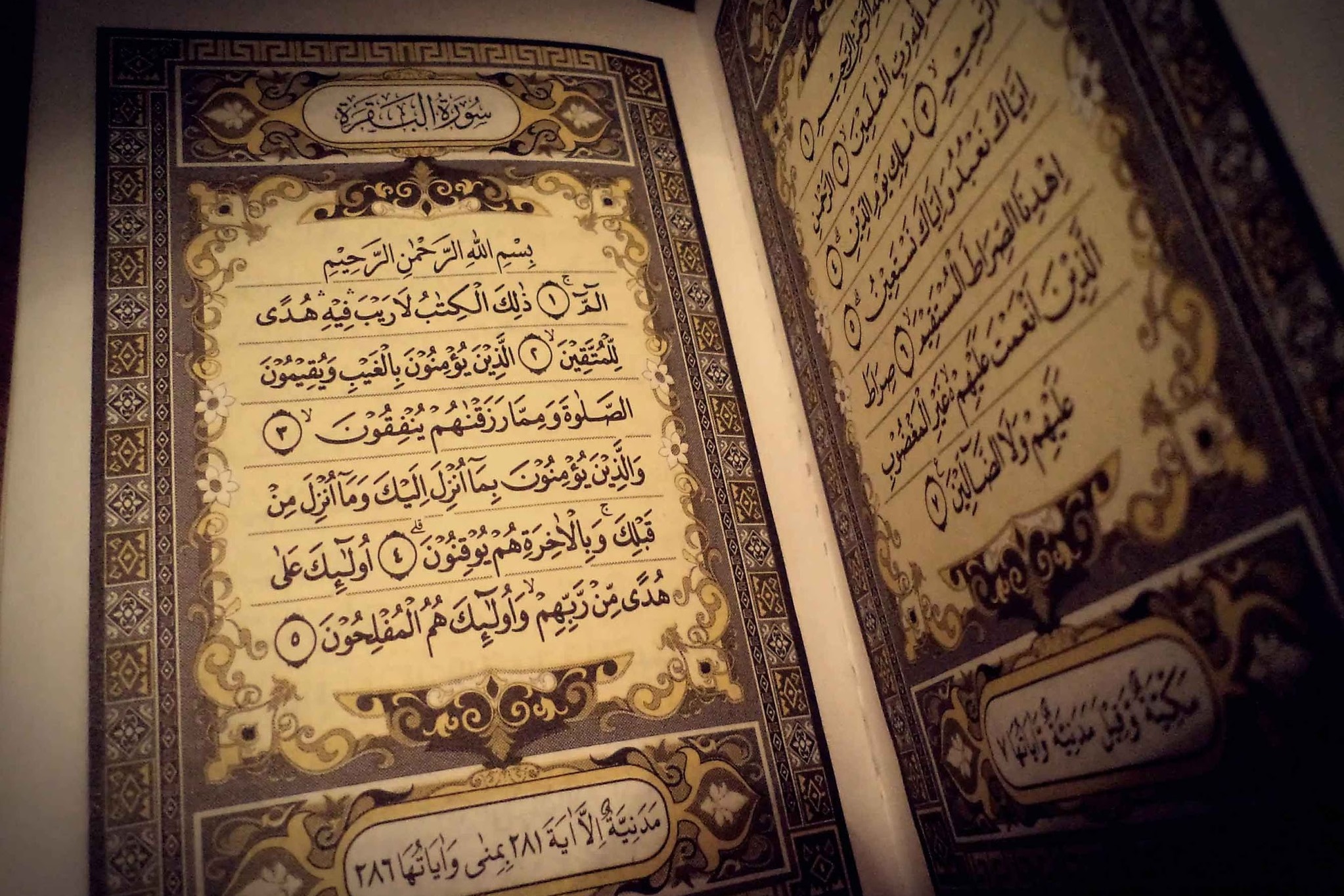 La Luce del Corano-Esegesi del Sacro Corano,vol 1 - Parte 31 - Sura Al-Bagharah - versetto 65-66
