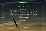 مؤسسة "ن" القرآنية في اليمن تطلق حملة قرآنية في اليوم العالمي للقرآن + صور