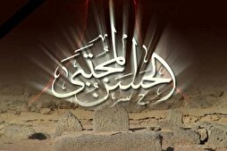 الإمام الحسن المجتبى (ع) غربة إمام في وطن