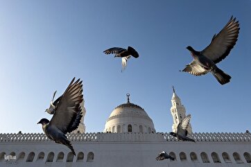 Zəvvarlar Həcc ziyarətindən sonra Mədinənin müqəddəs və tarixi yerlərini ziyarət edirlər