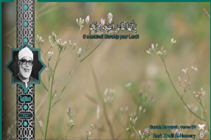 Video | Wunderschöne Rezitation aus der Sure Al-Baqarah mit der Stimme von Khalil Al-Husari