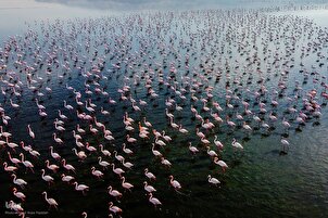 In Bildern: wunderschöner Maharloo-See im Südwesten Irans
