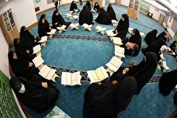 Quran Memorization Plan for University Students Launched in Karbala