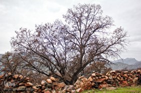 اندیکا، شگفتی در دل کوه