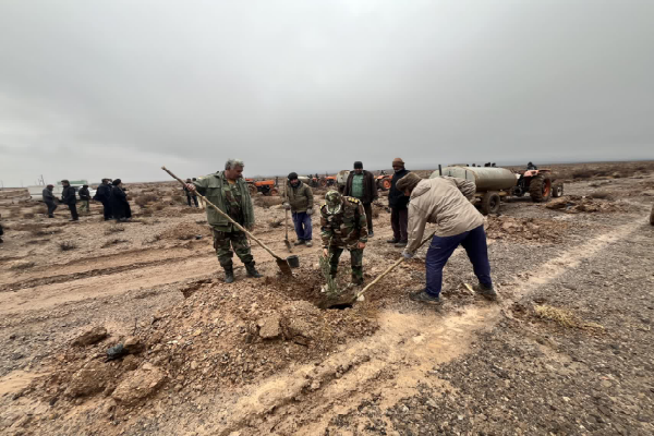 اجرای پویش درختکاری در کرمان