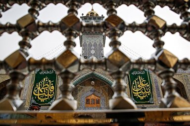 صوت | امیرالمؤمنین(ع)، امیر والایی‌ها