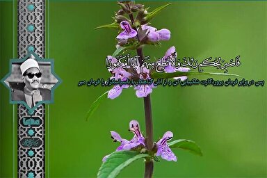 فیلم | مقطع شنیدنی «عبدالعزیز فرج» از سوره انسان