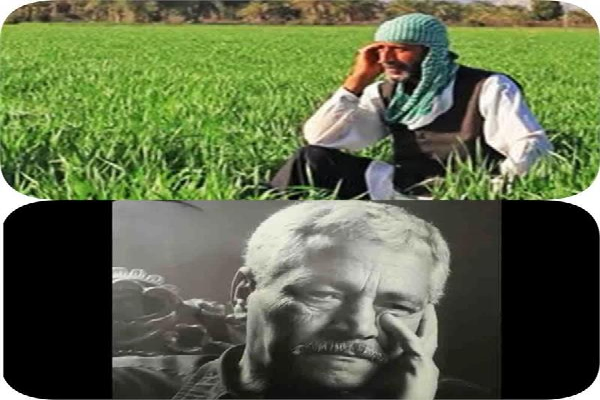 هنرمندان جنوب کرمان