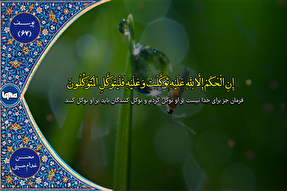 فیلم | فرازی از تلاوت «خدام حسینی»