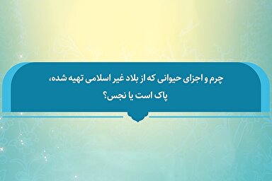 فتوتیتر | حکم استفاده از چرم و اجزای حیوانات وارداتی