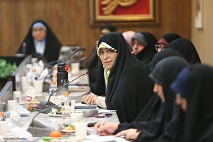 بیان دغدغه‌های بانوان فعال و قرآن‌پژوه در دیدار با معاون قرآنی وزیر
