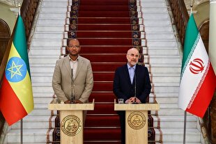 فرصت‌های زیادی برای توسعه روابط میان ایران و اتیوپی جود دارد