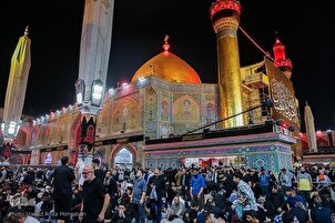 इमाम अली (अ.स) का पवित्र रौज़ा अरबईन तीर्थयात्रियों का मेज़बान