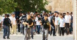 Coloni invadono i cortili di Al-Aqsa