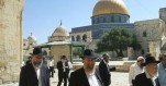 Violazioni israeliane ad al-Aqsa in crescita