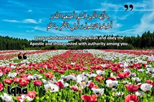 Ketaatan kepada Allah dan Rasul