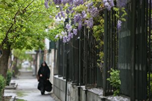 Mvua ya Machipuo Yaleta Hewa Safi Tehran