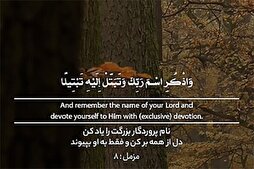 Дилро аз ҳама баркан