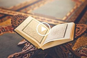 Mısırlı gencin güzel tilaveti | video