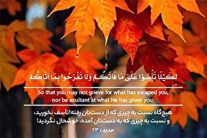 کبھی افسوس نہ کریں